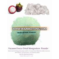 High Quality Vacuum Freeze Dried Mangosteen (pulp only) powder from Thailand