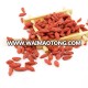 high quality dried fruits goji berry bulk for sale