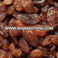 Sultana raisin- Premiun quality ,LOWEST PRICE